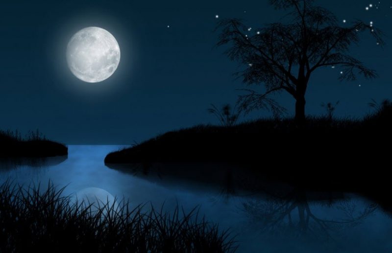 tả một đêm trăng đẹp