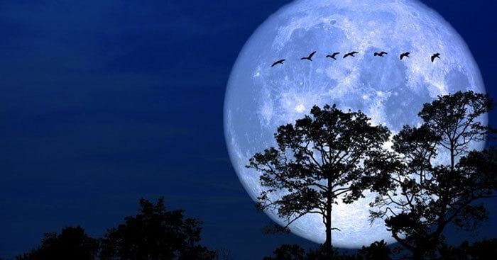 TOP 33 bài văn tả một đêm trăng đẹp siêu hay