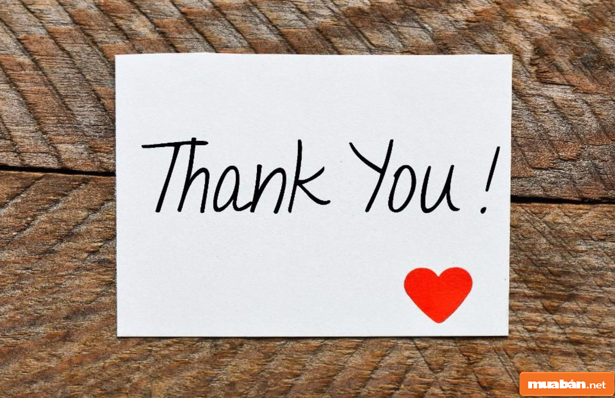 Thư cảm ơn khách hàng: Nơi giúp bạn bày tỏ lòng cảm ơn