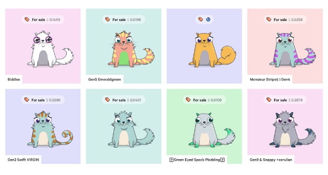 Mỗi loài mèo sẽ có những đặc tính khác nhau